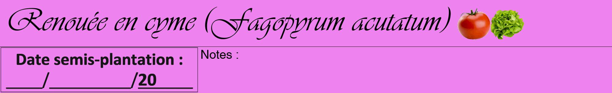 Étiquette de : Fagopyrum acutatum - format a - style noire53viv avec comestibilité simplifiée
