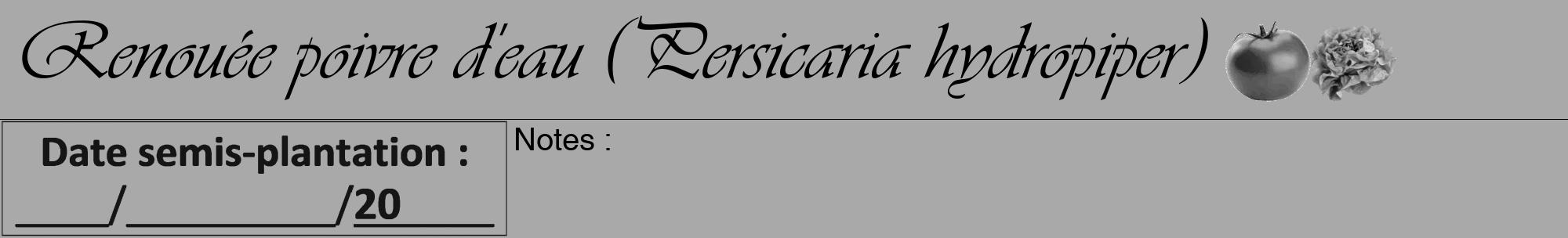 Étiquette de : Persicaria hydropiper - format a - style noire13viv avec comestibilité simplifiée