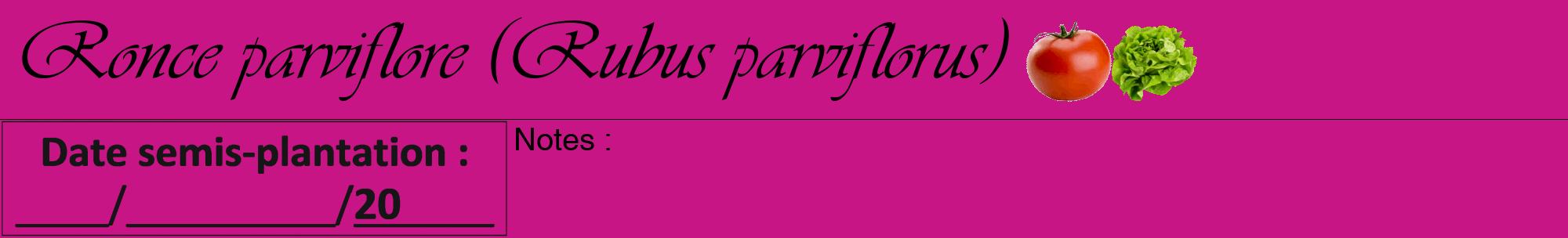 Étiquette de : Rubus parviflorus - format a - style noire45viv avec comestibilité simplifiée