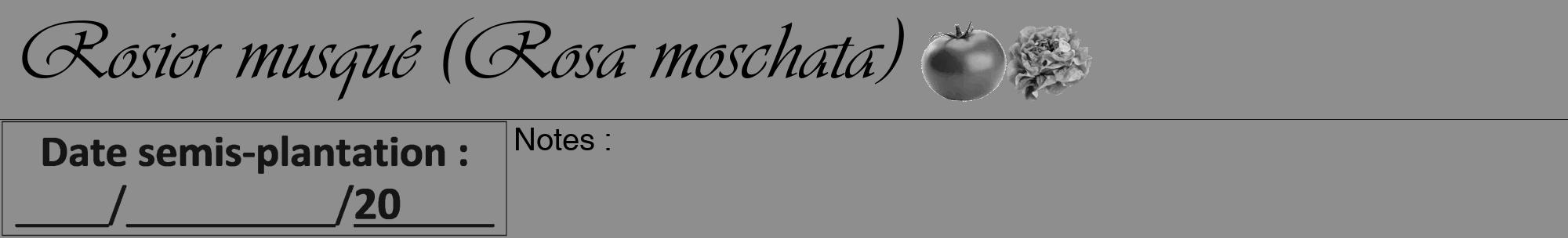Étiquette de : Rosa moschata - format a - style noire25viv avec comestibilité simplifiée