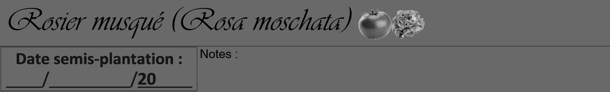 Étiquette de : Rosa moschata - format a - style noire51viv avec comestibilité simplifiée