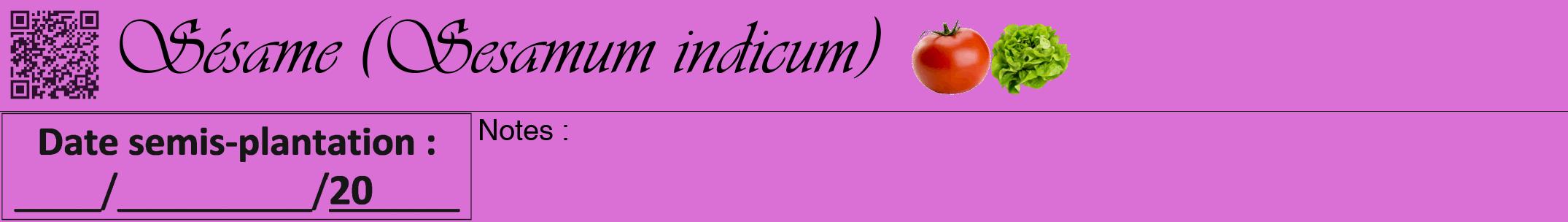 Étiquette de : Sesamum indicum - format a - style noire52viv avec qrcode et comestibilité simplifiée
