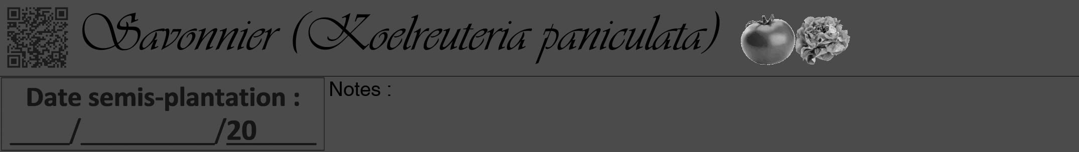 Étiquette de : Koelreuteria paniculata - format a - style noire9viv avec qrcode et comestibilité simplifiée