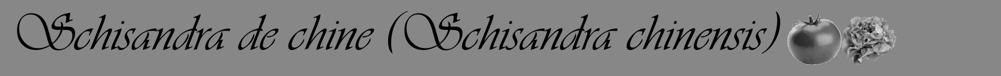 Étiquette de : Schisandra chinensis - format a - style noire12viv avec comestibilité simplifiée