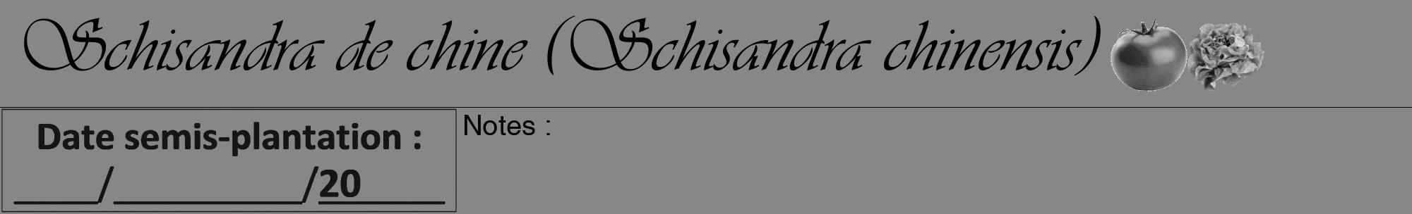 Étiquette de : Schisandra chinensis - format a - style noire12viv avec comestibilité simplifiée