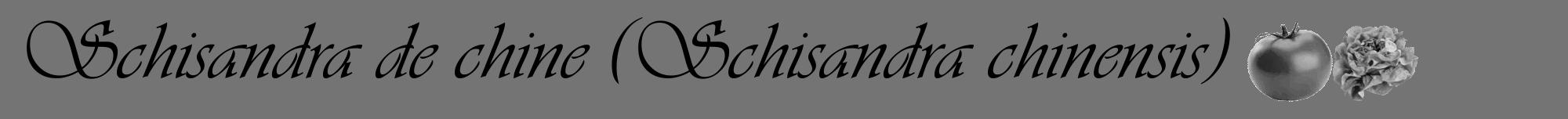 Étiquette de : Schisandra chinensis - format a - style noire26viv avec comestibilité simplifiée
