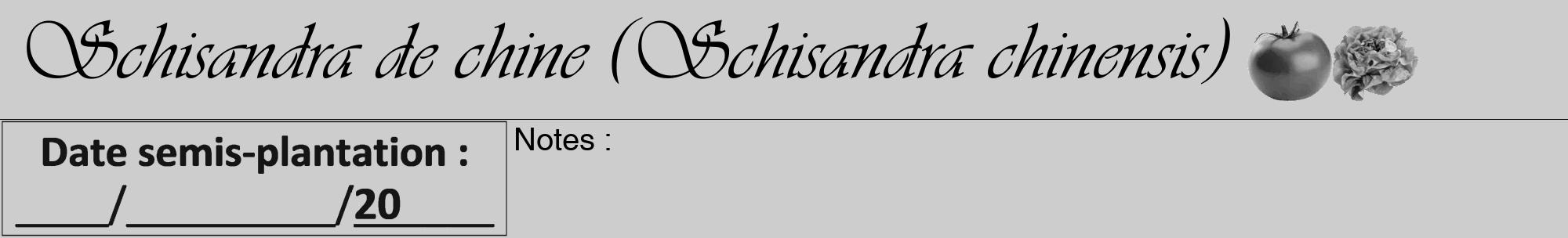 Étiquette de : Schisandra chinensis - format a - style noire41viv avec comestibilité simplifiée