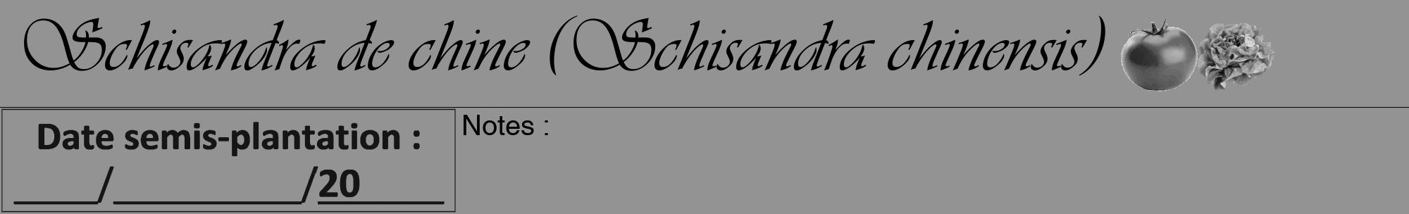 Étiquette de : Schisandra chinensis - format a - style noire44viv avec comestibilité simplifiée