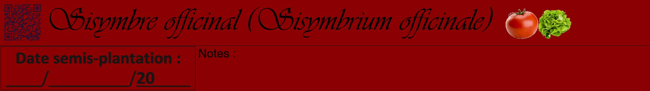 Étiquette de : Sisymbrium officinale - format a - style noire34viv avec qrcode et comestibilité simplifiée