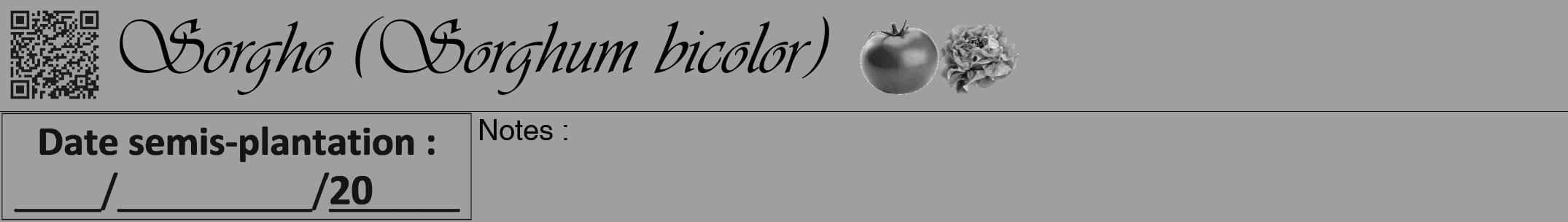 Étiquette de : Sorghum bicolor - format a - style noire24viv avec qrcode et comestibilité simplifiée