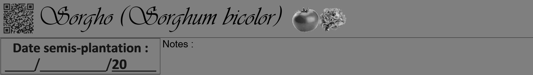 Étiquette de : Sorghum bicolor - format a - style noire31viv avec qrcode et comestibilité simplifiée