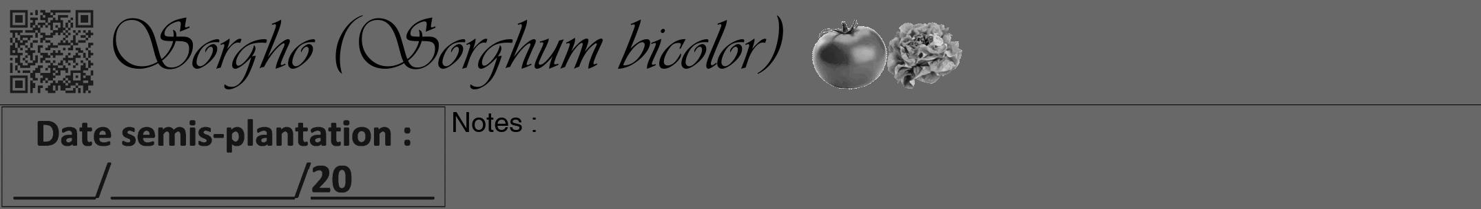 Étiquette de : Sorghum bicolor - format a - style noire43viv avec qrcode et comestibilité simplifiée