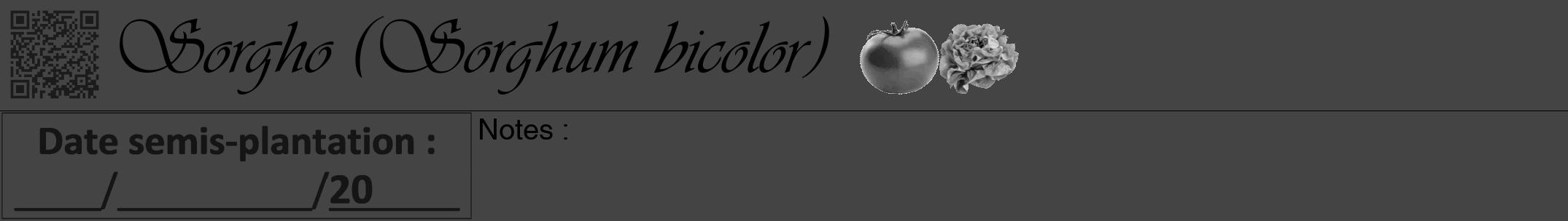Étiquette de : Sorghum bicolor - format a - style noire48viv avec qrcode et comestibilité simplifiée