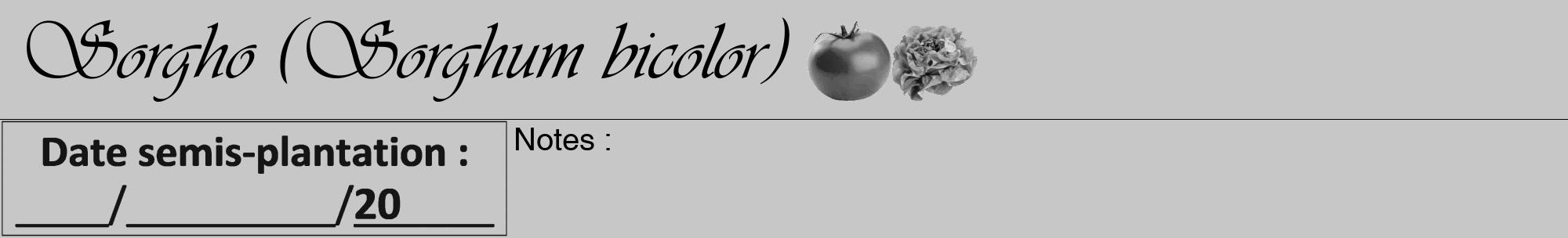 Étiquette de : Sorghum bicolor - format a - style noire15viv avec comestibilité simplifiée