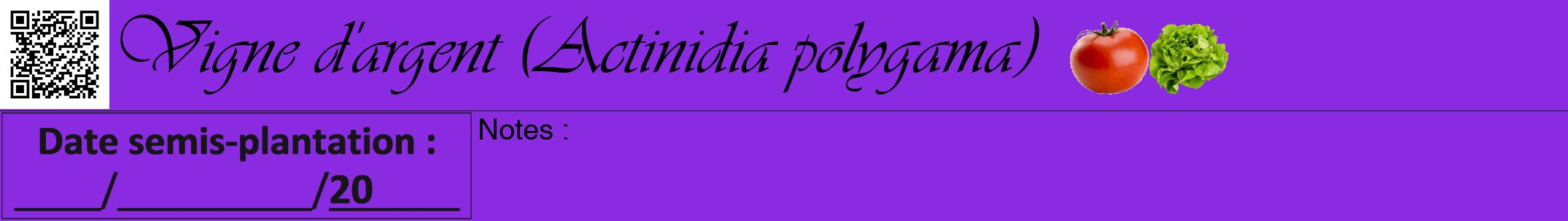 Étiquette de : Actinidia polygama - format a - style noire49viv avec qrcode et comestibilité simplifiée