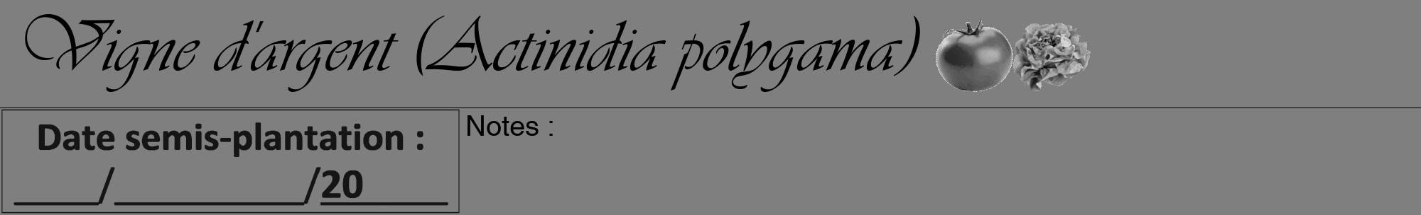 Étiquette de : Actinidia polygama - format a - style noire31viv avec comestibilité simplifiée