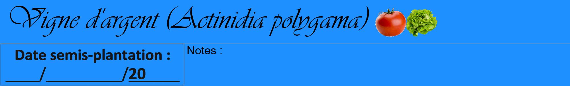 Étiquette de : Actinidia polygama - format a - style noire3viv avec comestibilité simplifiée