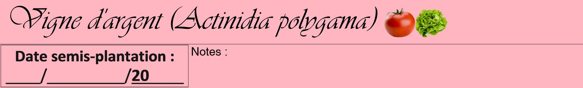 Étiquette de : Actinidia polygama - format a - style noire41viv avec comestibilité simplifiée