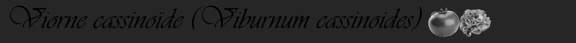 Étiquette de : Viburnum cassinoides - format a - style noire29viv avec comestibilité simplifiée