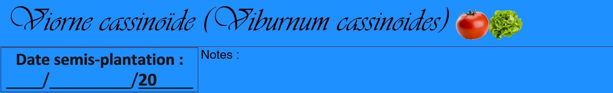 Étiquette de : Viburnum cassinoides - format a - style noire3viv avec comestibilité simplifiée