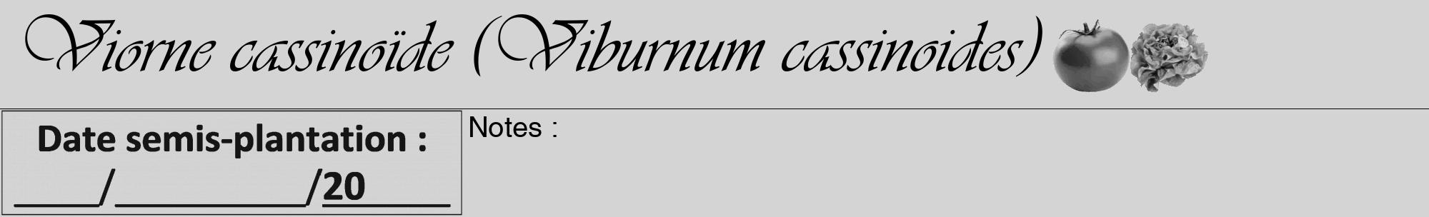 Étiquette de : Viburnum cassinoides - format a - style noire40viv avec comestibilité simplifiée