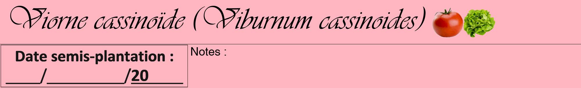 Étiquette de : Viburnum cassinoides - format a - style noire41viv avec comestibilité simplifiée