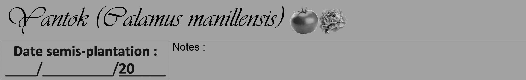 Étiquette de : Calamus manillensis - format a - style noire38viv avec comestibilité simplifiée