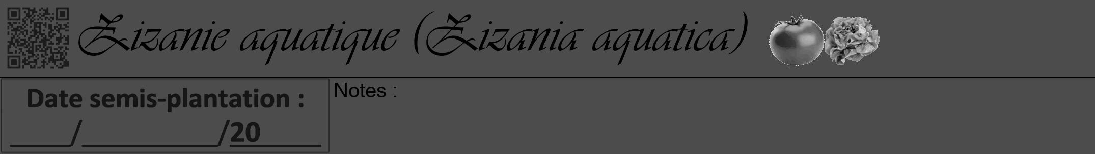 Étiquette de : Zizania aquatica - format a - style noire27viv avec qrcode et comestibilité simplifiée