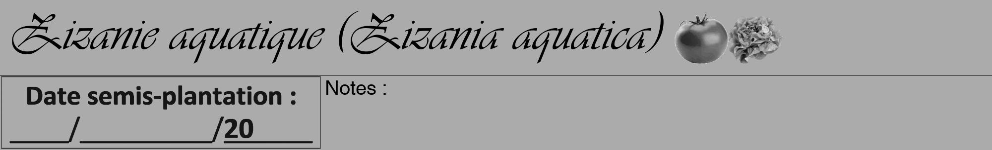 Étiquette de : Zizania aquatica - format a - style noire37viv avec comestibilité simplifiée