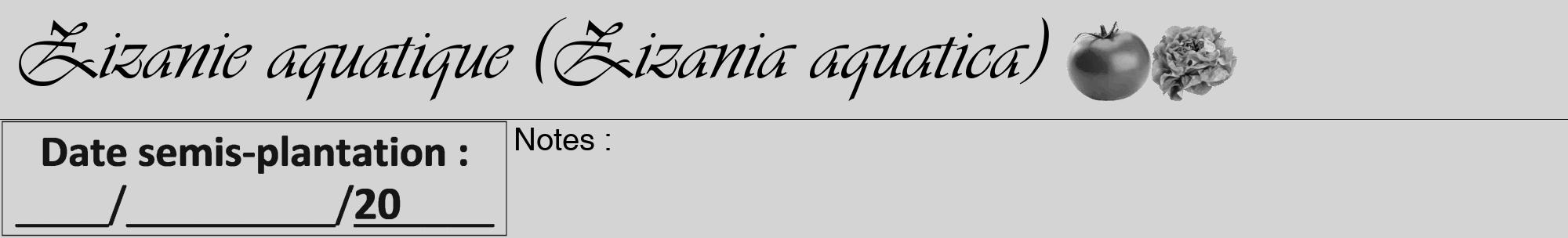 Étiquette de : Zizania aquatica - format a - style noire40viv avec comestibilité simplifiée