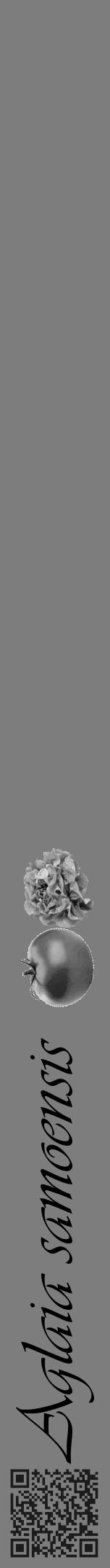 Étiquette de : Aglaia samoensis - format a - style noire35viv avec qrcode et comestibilité simplifiée - position verticale