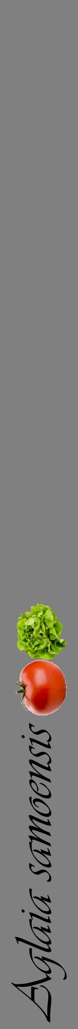Étiquette de : Aglaia samoensis - format a - style noire57viv avec comestibilité simplifiée