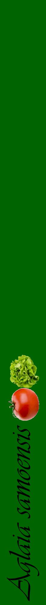 Étiquette de : Aglaia samoensis - format a - style noire8viv avec comestibilité simplifiée