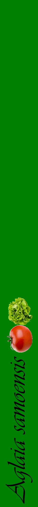Étiquette de : Aglaia samoensis - format a - style noire9viv avec comestibilité simplifiée