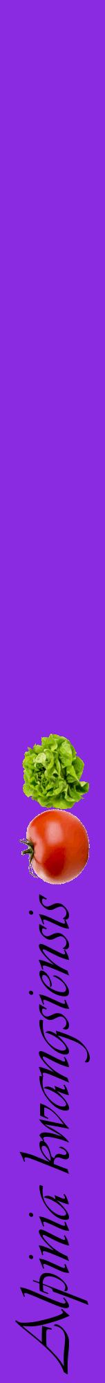 Étiquette de : Alpinia kwangsiensis - format a - style noire49viv avec comestibilité simplifiée