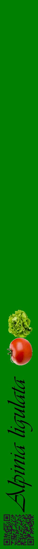 Étiquette de : Alpinia ligulata - format a - style noire9viv avec qrcode et comestibilité simplifiée
