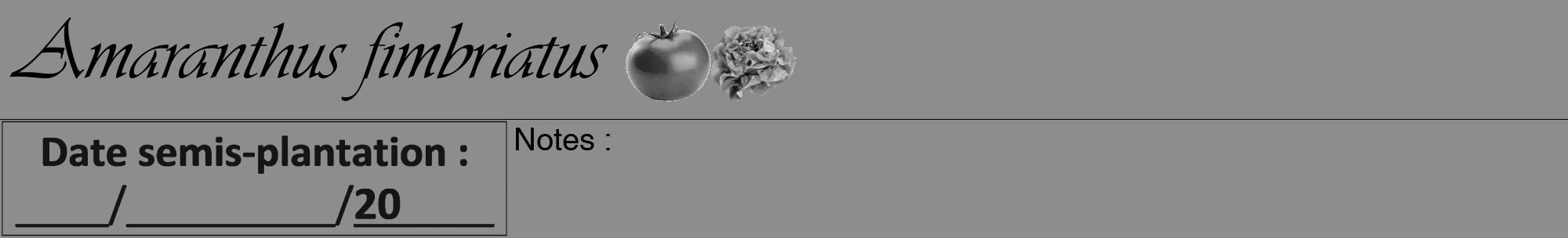 Étiquette de : Amaranthus fimbriatus - format a - style noire2viv avec comestibilité simplifiée