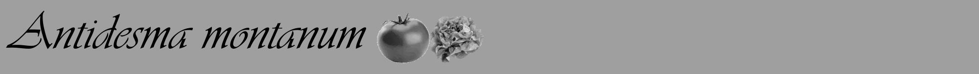 Étiquette de : Antidesma montanum - format a - style noire24viv avec comestibilité simplifiée