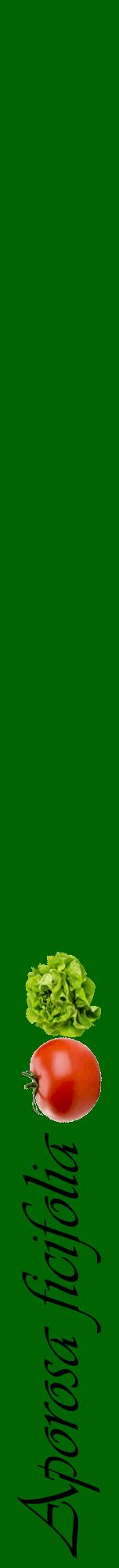 Étiquette de : Aporosa ficifolia - format a - style noire8viv avec comestibilité simplifiée