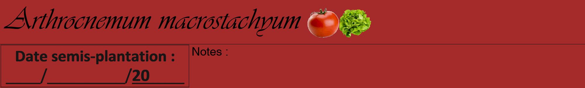 Étiquette de : Arthrocnemum macrostachyum - format a - style noire33viv avec comestibilité simplifiée
