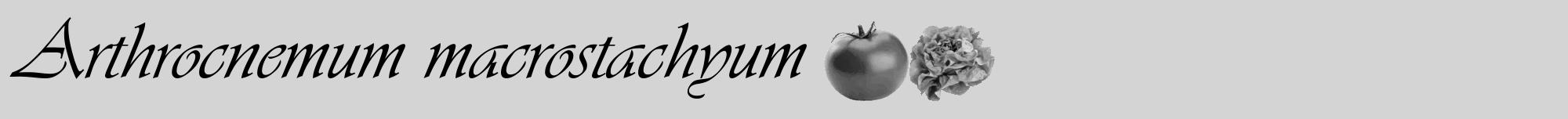Étiquette de : Arthrocnemum macrostachyum - format a - style noire40viv avec comestibilité simplifiée