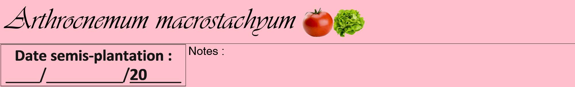 Étiquette de : Arthrocnemum macrostachyum - format a - style noire40viv avec comestibilité simplifiée