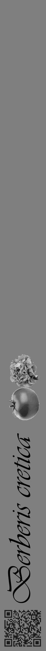 Étiquette de : Berberis cretica - format a - style noire57viv avec qrcode et comestibilité simplifiée - position verticale