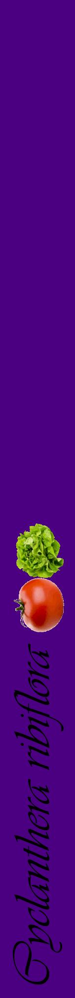 Étiquette de : Cyclanthera ribiflora - format a - style noire47viv avec comestibilité simplifiée