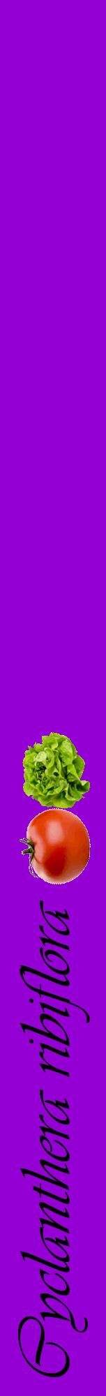 Étiquette de : Cyclanthera ribiflora - format a - style noire48viv avec comestibilité simplifiée