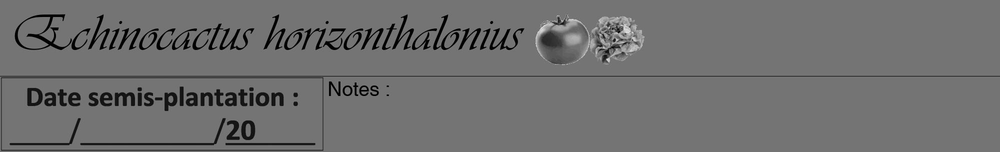 Étiquette de : Echinocactus horizonthalonius - format a - style noire26viv avec comestibilité simplifiée