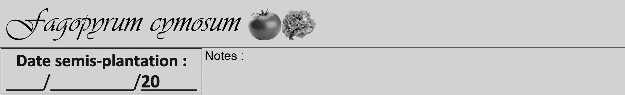 Étiquette de : Fagopyrum cymosum - format a - style noire14viv avec comestibilité simplifiée