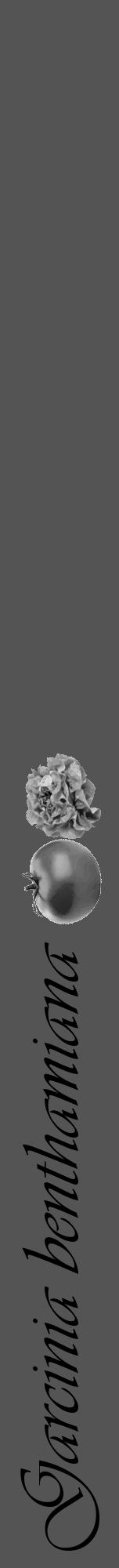 Étiquette de : Garcinia benthamiana - format a - style noire30viv avec comestibilité simplifiée - position verticale