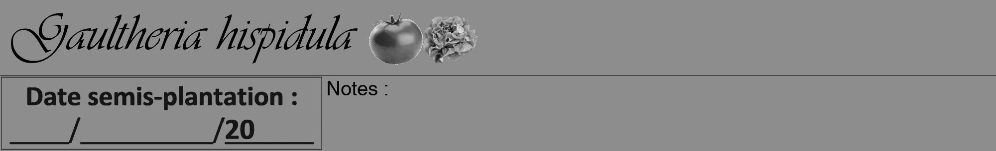 Étiquette de : Gaultheria hispidula - format a - style noire2viv avec comestibilité simplifiée