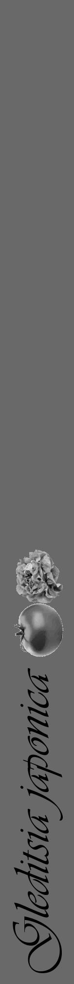 Étiquette de : Gleditsia japonica - format a - style noire51viv avec comestibilité simplifiée - position verticale